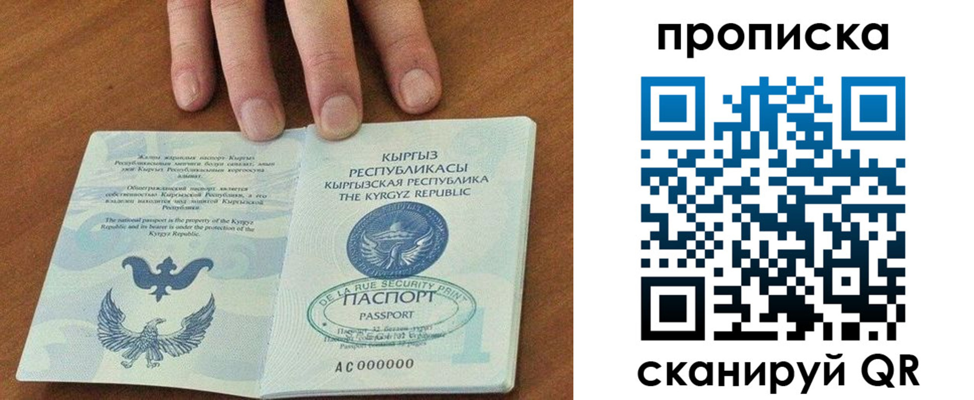 прописка гарантия в Лобне